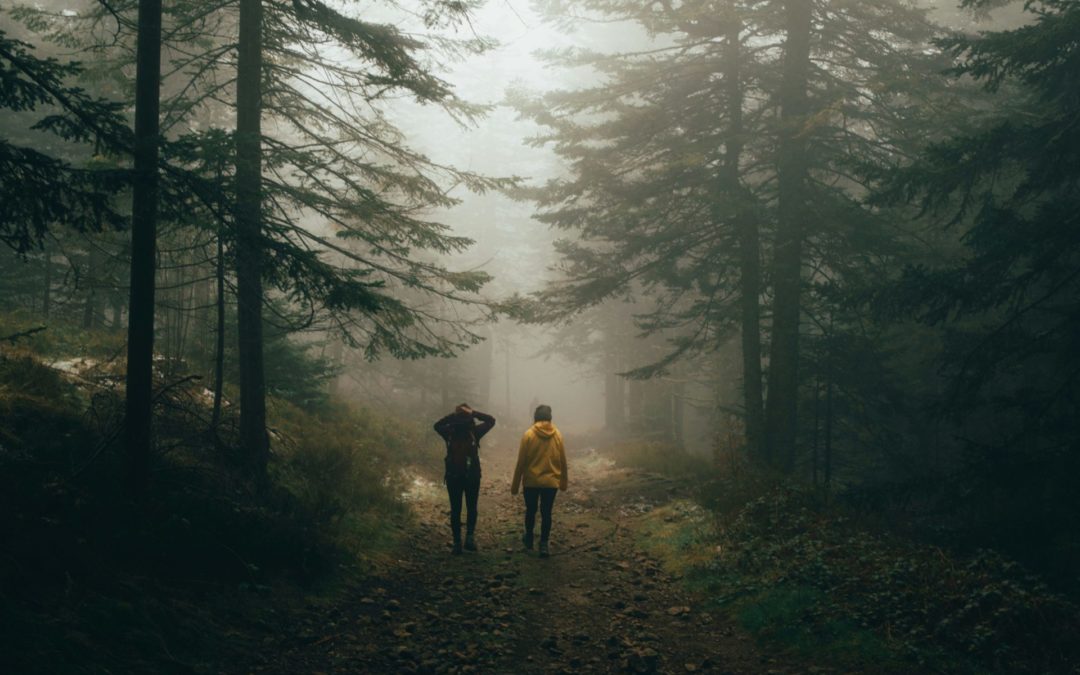 Log management and SIEM: the silent heroes of cybersecurity